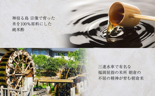 ［ 清広食品 ］ 清広 の 人気2種 食べ比べ セット（ さば寿司 ・ 炙り 旬鯖 (ときさば)寿司 ） KY007-1