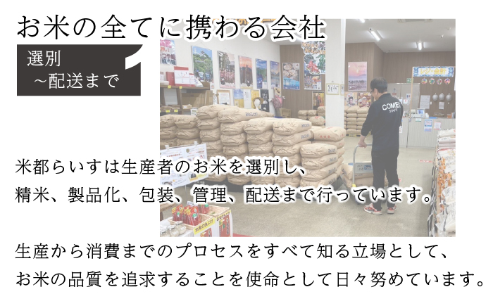 【先行予約】数量限定〈令和7年産〉福岡県産夢つくし5kg [MY001-2] 米都らいす【福岡県須恵町】米 新米