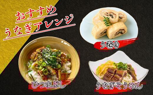 【定期便・全3回】［無頭］ ふっくら 肉厚 うなぎ蒲焼 3尾 合計3150g 1050g前後×3回 SF062-1