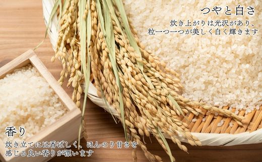 【先行予約】数量限定〈令和7年産〉福岡県産米 「夢つくし」 20kg 新米 [SM003-1] 【福岡県須恵町】