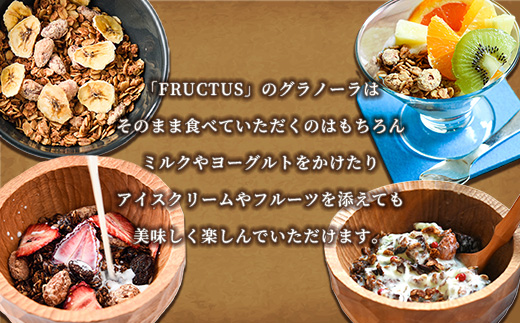 【FRUCTUS】ナッツグラノーラ 250g FR001-2