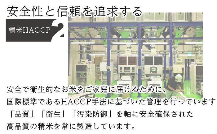 【先行予約】数量限定〈令和7年産〉福岡県産夢つくし5kg [MY001-2] 米都らいす【福岡県須恵町】米 新米