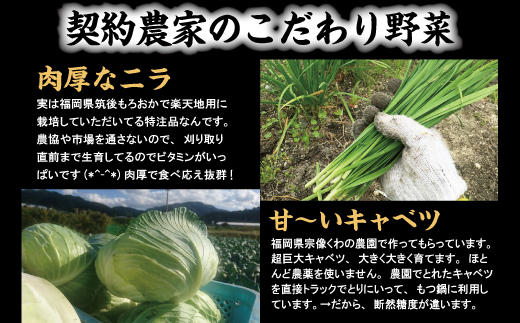 ［ 楽天地 ］【冷凍野菜付き】1077万人が食べた！福岡店舗数No.1 もつ鍋の元祖 元祖もつ鍋 2～3人 用セット RT004-1