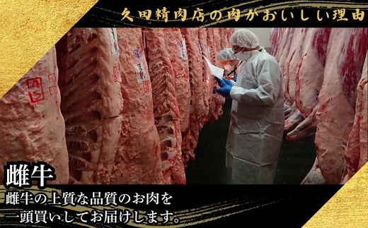 【10ヶ月連続定期便】博多和牛100％ 本格手ごねハンバーグ 150g×10個 [HS034-1] 久田精肉店【福岡県須恵町】