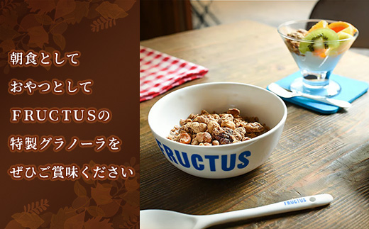【FRUCTUS】アップルシナモングラノーラ 250g FR002-2