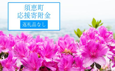 [須恵町]≪返礼品なし≫福岡県須恵町へのご寄附(1口：10,000円) SE003-1