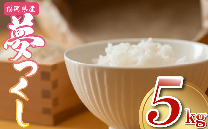 【先行予約】数量限定〈令和7年産〉福岡県産夢つくし5kg [MY001-2] 米都らいす【福岡県須恵町】米 新米