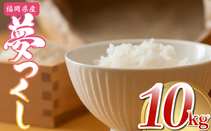 【先行予約】数量限定〈令和7年産〉福岡県産夢つくし10kg [MY002-2] 米都らいす【福岡県須恵町】米 新米