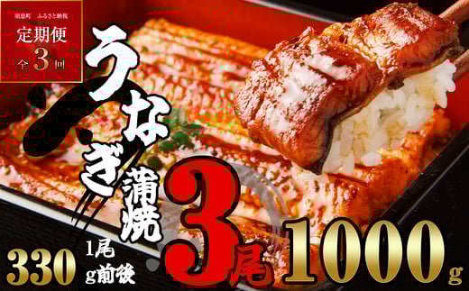 【定期便・全3回】ふっくらジューシー 有頭 うなぎ蒲焼 3尾 合計3000g 1000g前後×3回 SF013-2