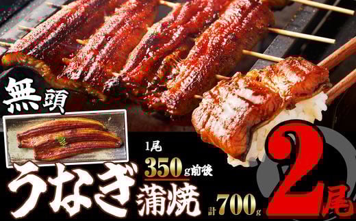 ［無頭］ ふっくら 肉厚 うなぎ蒲焼 2尾 合計700g前後 SF052-2