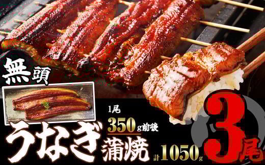 ［無頭］ ふっくら 肉厚 うなぎ蒲焼 3尾 合計1050g前後 SF058-1