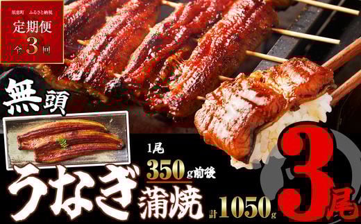【定期便・全3回】［無頭］ ふっくら 肉厚 うなぎ蒲焼 3尾 合計3150g 1050g前後×3回 SF062-1