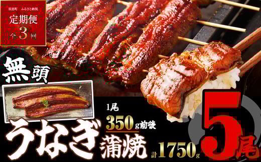 【定期便・全3回】［無頭］ ふっくら 肉厚 うなぎ蒲焼 5尾 合計5250g 1750g前後×3回 SF063-1
