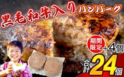 【特別ご案内】120g × 24個 合計 2800g以上 牛100％ 黒毛和牛入り ハンバーグステーキ SF110-1
