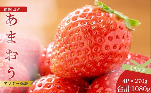 【先行予約】福岡県産あまおう 270g×4パック ※年内発送 農家直送 [TY013-2] ※配送不可：北海道・沖縄・離島【福岡県須恵町】いちご イチゴ 苺 フルーツ 果物 国産 九州 送料無料