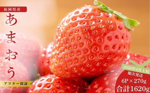 【先行予約】福岡県産あまおう 270g×6パック ※2026年4月上旬順次配送 [TY015-2] ※配送不可：北海道・沖縄・離島【福岡県須恵町】いちご イチゴ 苺 フルーツ 果物 国産 九州 送料無料