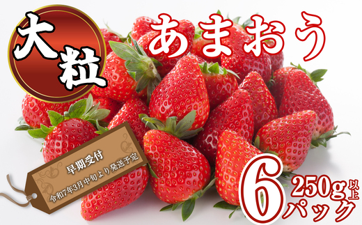 福岡県産 あまおう 250g 以上 × 6パック ブランド いちご SF053-1