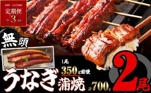 [定期便・全3回][無頭] ふっくら 肉厚 うなぎ蒲焼 2尾 合計2100g 700g前後×3回 SF061-1