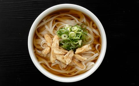 ZF079.博多ごぼ天うどん１０食