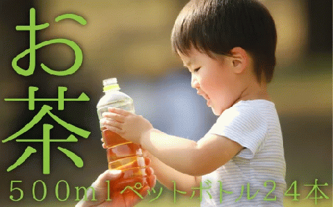 EE014.福岡八女茶のペットボトル.緑茶（５００ml×２４本）×５ヵ月