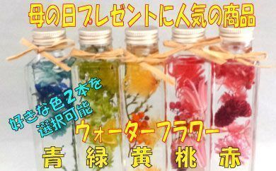AE170.プレゼントに人気．ウォーターフラワー（２本選択）