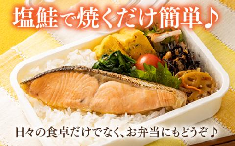 AB205.得用・定塩（塩鮭）銀鮭切身・１４切