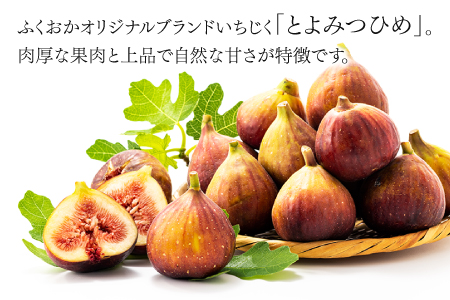 A1361.九州・福岡フルーツ王国より直送.いちじく（とよみつ姫）約1kg／2026年8月～9月配送【とよみつひめ】
