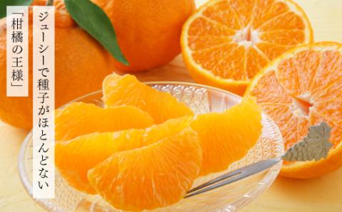 AA196.いわくま果樹園自慢の不知火／約4kg(2026年2～3月発送予定)