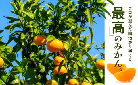 AA074.温州みかん（5kg程度）／2025年11月～2026年1月配送