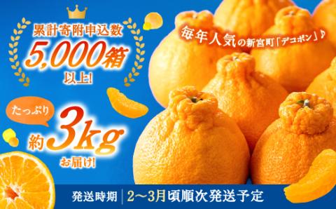 AA075.【昨年も大人気】デコポン（約３ｋｇ程度）☆２０２６年配送分予約受付中☆