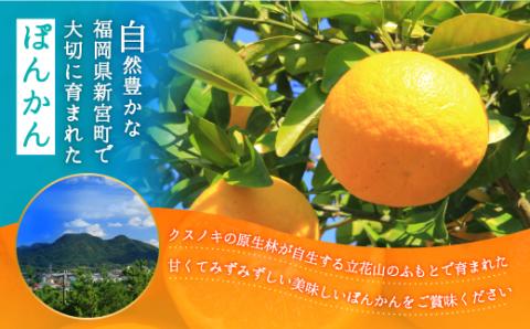 AA076.ぽんかん（5kg程度）／2025年12月～2026年1月配送予定