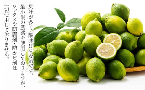 AA079.貴重な国産レモン.約5kg.新宮町産の逸品です／2025年9月～2026年2月発送予定