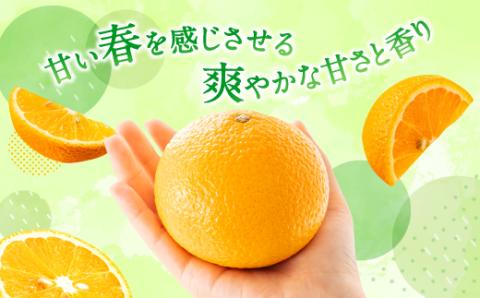 AA091.【予約受付・期間限定商品】福岡柑橘王国・スイートスプリング／約8kg(2026年1月～2月配送予定）