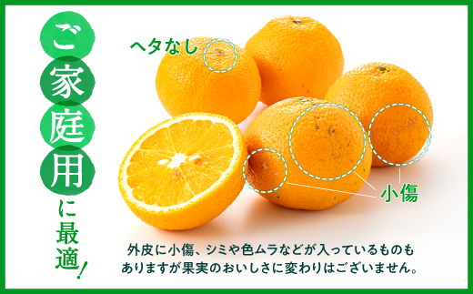 AA091.【予約受付・期間限定商品】福岡柑橘王国・スイートスプリング／約8kg(2027年1月～2月配送予定）