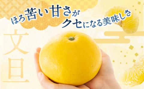 AA092.【予約受付・期間限定商品】　福岡柑橘王国・文旦（2026年2月～3月配送予定）