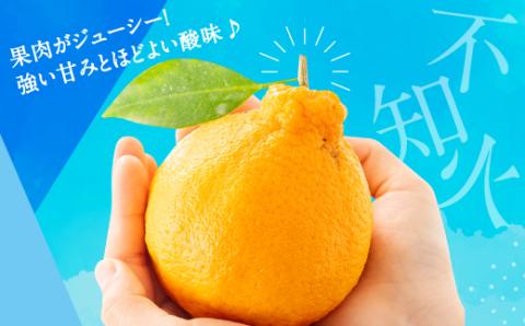 AA132.農家直送の不知火／約3kg（2026年2月発送予定)