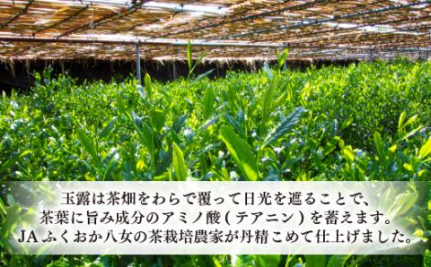 AB127.福岡の八女茶．玉露ボトル缶（２９０ｇ×２４缶）【八女茶】