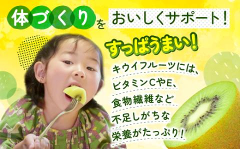 【予約受付】AB128.キウイフルーツ(グリーン)3kg程度／2026年1月～2月配送予定