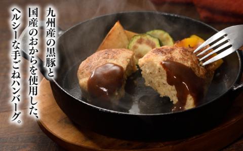 A1454.九州産黒豚おからハンバーグセット