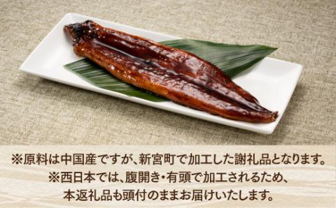 A1440.うなぎの蒲焼２尾＆デミ味ミート＆照り焼きチキンボール４０個（２種×２０個）【新宮町レインボーセット】