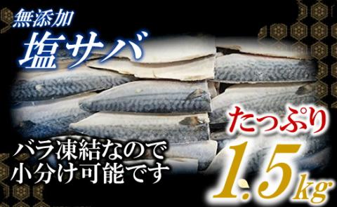 AB346.バラ凍結で便利！塩さば＆銀鮭ミックス（合計約2.5kg）