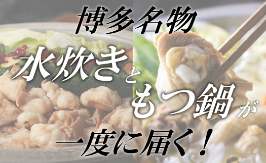 AB367.博多名物もつ鍋と水炊きの豪華セット（約10人前）