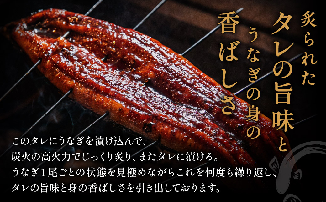 AE237.刻みうなぎ蒲焼き（約100g×8Pセット）