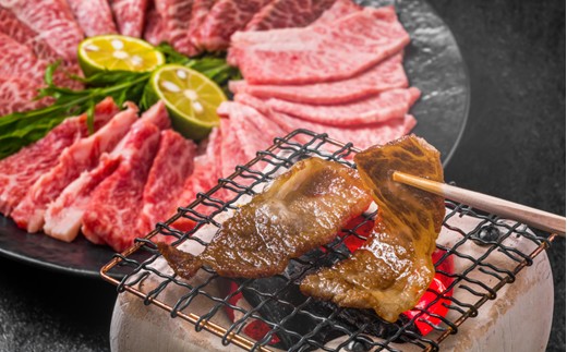 AC147.【A4～A5】博多和牛焼肉用約500g【博多和牛】