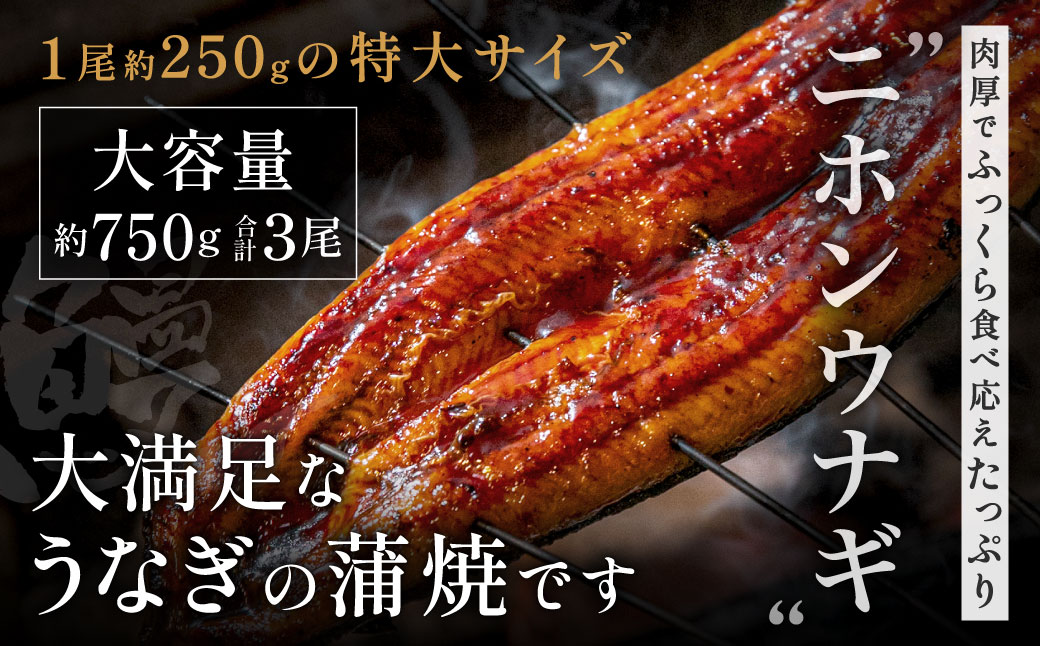 AF098.うなぎ蒲焼き3尾セット（約250g×3尾）