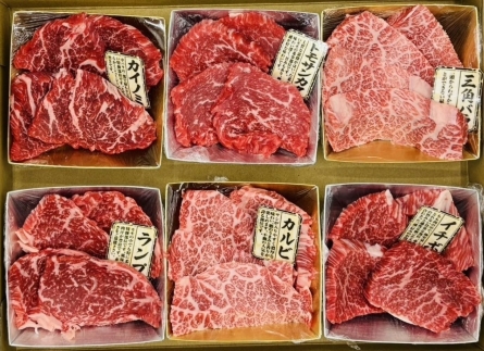 AG105.博多和牛A4ランク以上・希少部位おまかせ6種セット【博多和牛】