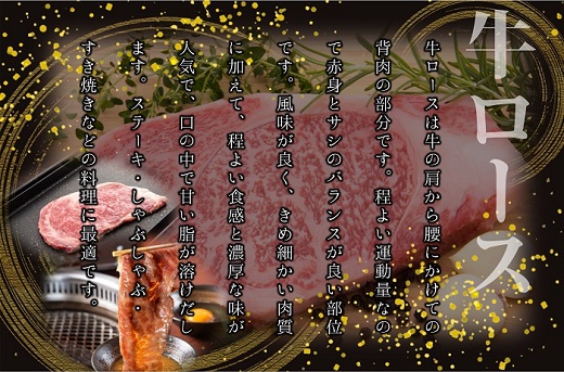 AG115.博多和牛ローススライス400g【博多和牛】