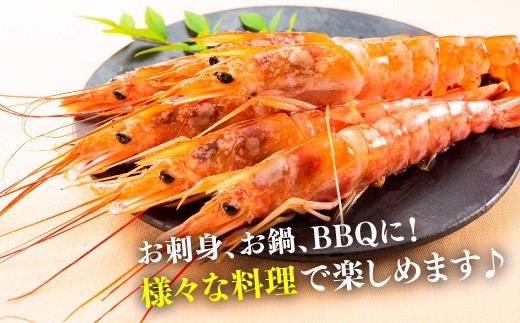 B379.【お刺身用】有頭赤海老4kg（約80〜120尾入）
