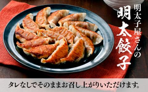 ZG142.明太餃子（１４個入り）×2セット