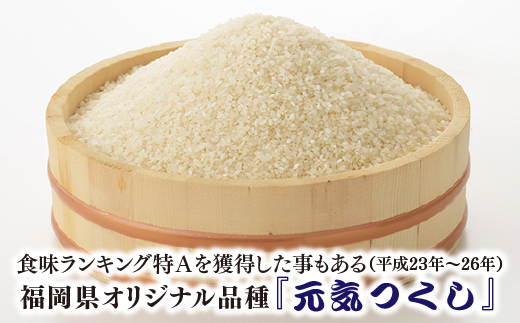 AE226.特Ａも獲得した自慢のお米『元気つくし』5kg【元気つくし】